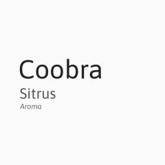 Coobra Snusaroma - Sitrus