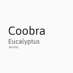 Coobra snusaroma - Eucalyptus