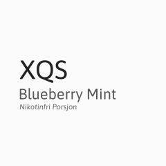 XQS - Blueberry Mint (Koffein porsjon, 50mg)